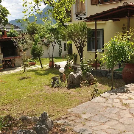 Garden House / Amazing View *