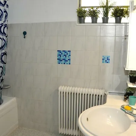 Garden House / Amazing View