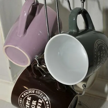 Garden House / Amazing View