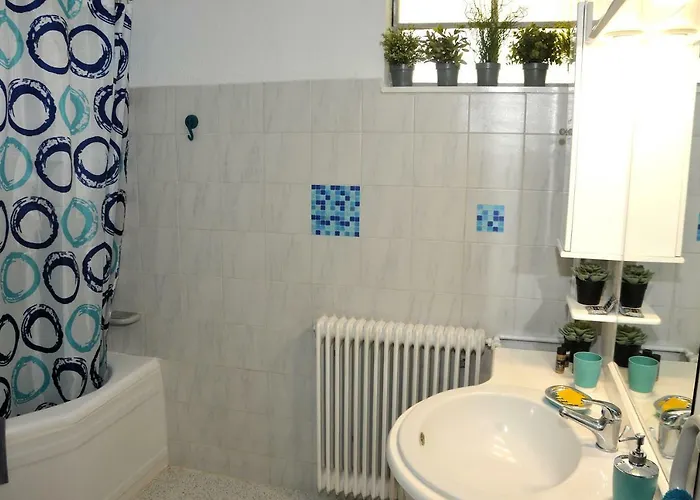 Garden House / Amazing View